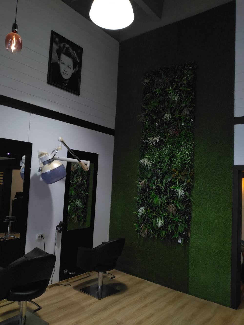 Les salons David