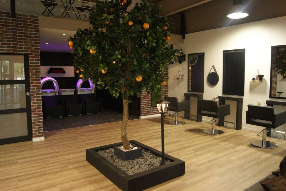 Les salons David