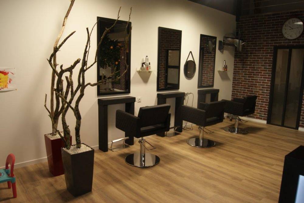 Les salons David