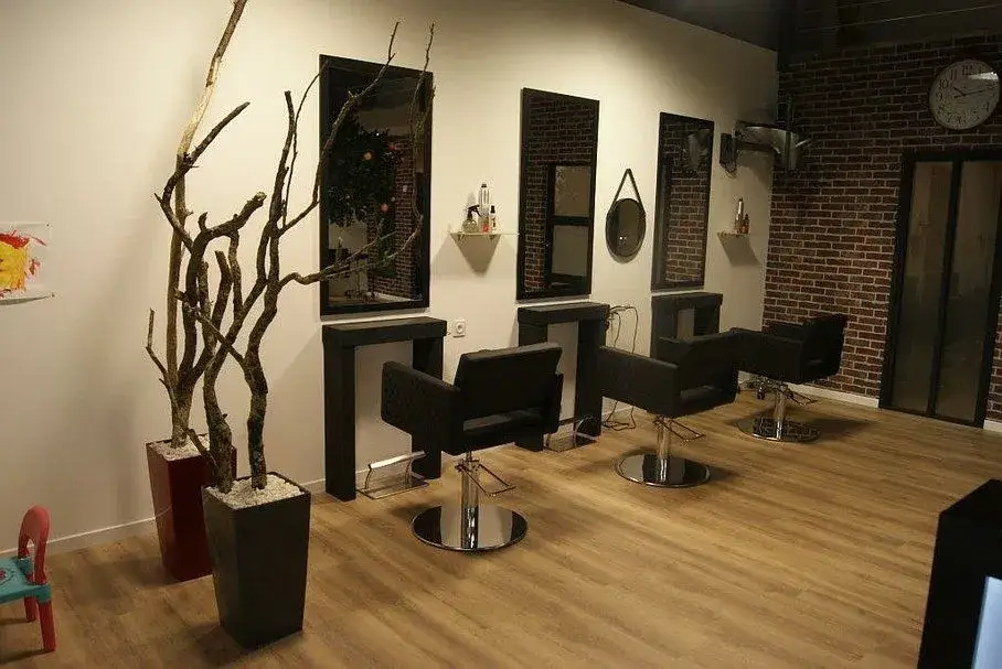 Les salons David